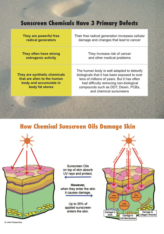 Sunscreen Chemicals